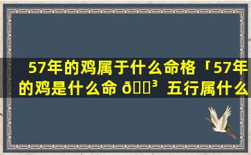 57年的鸡属于什么命格「57年的鸡是什么命 🐳  五行属什么」